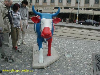 004 - Tricolor Cow

