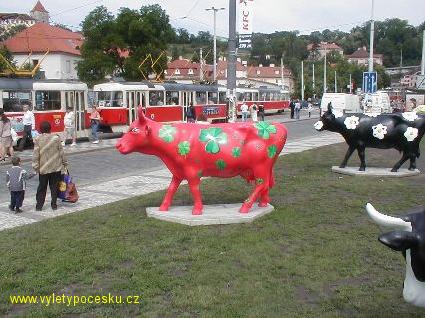 007 - astn krva
