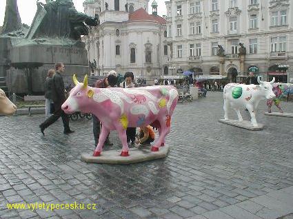 008 - Slun krvy
