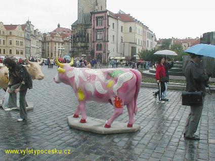 008 - Slun krvy
