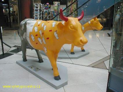 009 - EQ - Cow
