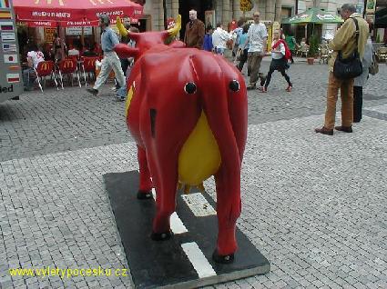 017 - Real Cow
