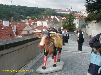 019 - Toreador

