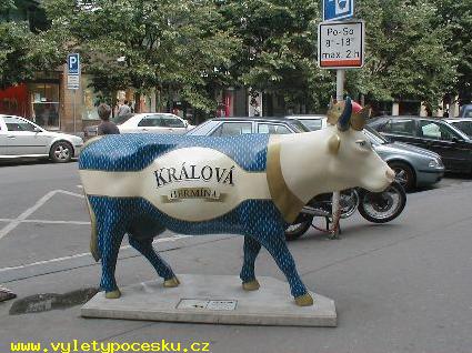 035 - Krlov Hermna
