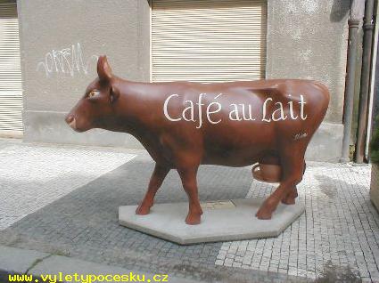 052 - Caf au lait
