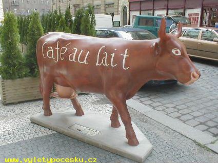 052 - Caf au lait
