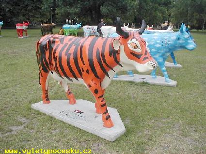 077 - Czech Republic - 
