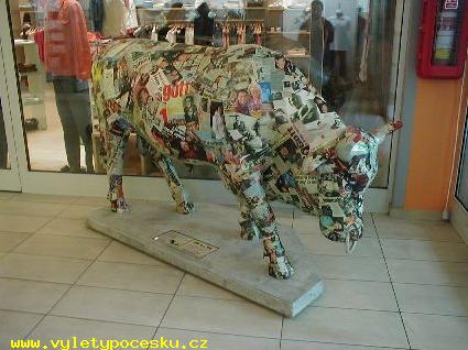 113 - no name bull
