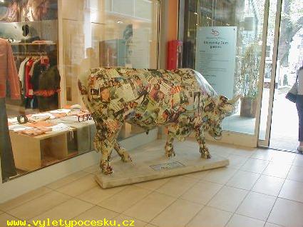 113 - no name bull
