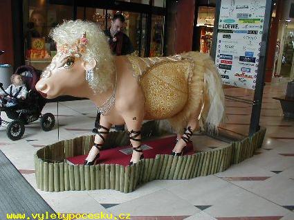 132 - ZSA ZSA Cowbor
