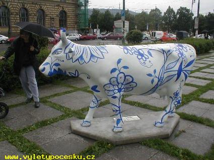 138 - Cibulkov
