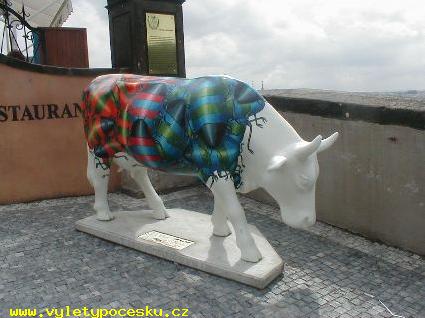 148 - Brou krva
