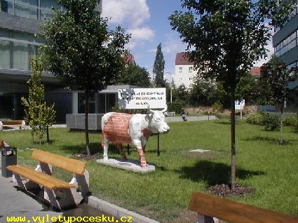 160 - BB Cow
