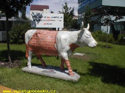 160 - BB Cow
