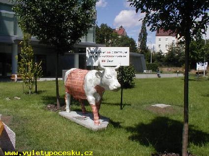 160 - BB Cow
