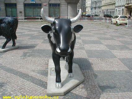 167 - Boscolina

