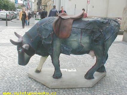 169 - COWvelo

