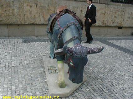 169 - COWvelo
