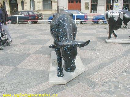 172 - Bublina
