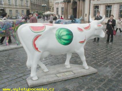176 - Melounov krva

