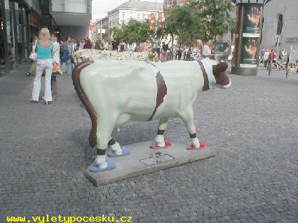 184 - Angnka
