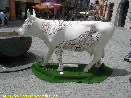 186 - Bos taurus donatus z Liberce

