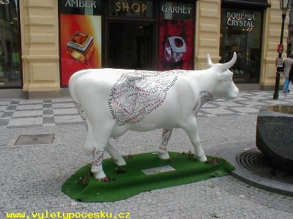 186 - Bos taurus donatus z Liberce
