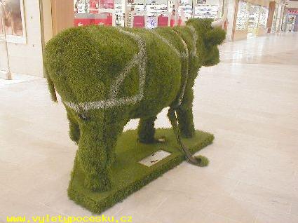 194 - Football Cow

