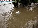 Povodeň v Praze v srpnu 2002